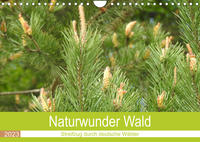 Naturwunder Wald (Wandkalender 2023 DIN A4 quer)