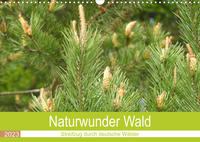 Naturwunder Wald (Wandkalender 2023 DIN A3 quer)