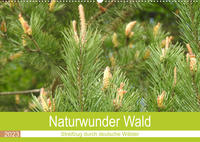 Naturwunder Wald (Wandkalender 2023 DIN A2 quer)