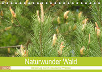 Naturwunder Wald (Tischkalender 2023 DIN A5 quer)
