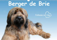 Berger de Brie - Fellnase mit Herz (Wandkalender 2023 DIN A3 quer)