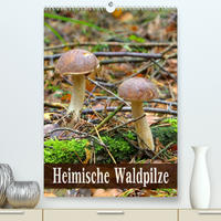 Heimische Waldpilze (Premium, hochwertiger DIN A2 Wandkalender 2023, Kunstdruck in Hochglanz)