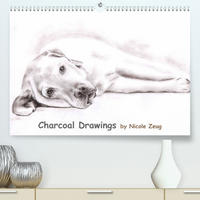 Charcoal Drawings (Premium, hochwertiger DIN A2 Wandkalender 2023, Kunstdruck in Hochglanz)