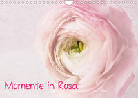 Momente in Rosa (Wandkalender 2023 DIN A4 quer)