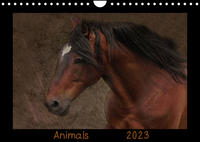 Animals (Wandkalender 2023 DIN A4 quer)