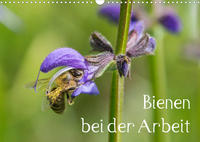 Bienen bei der Arbeit (Wandkalender 2023 DIN A3 quer)