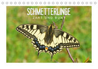 Schmetterlinge: zart und bunt (Tischkalender 2023 DIN A5 quer)