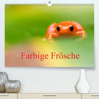 Farbige Frösche (Premium, hochwertiger DIN A2 Wandkalender 2023, Kunstdruck in Hochglanz)