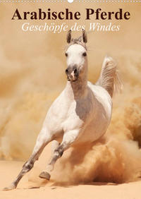 Arabische Pferde • Geschöpfe des Windes (Wandkalender 2023 DIN A2 hoch)