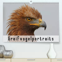 Greifvogelportraits (Premium, hochwertiger DIN A2 Wandkalender 2023, Kunstdruck in Hochglanz)