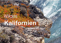 Wildes Kalifornien (Wandkalender 2023 DIN A2 quer)
