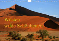 Wüsten, wilde Schönheiten (Wandkalender 2023 DIN A4 quer)