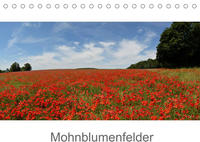 Mohnblumenfelder (Tischkalender 2023 DIN A5 quer)