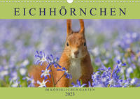 Eichhörnchen im Königlichen Garten (Wandkalender 2023 DIN A3 quer)