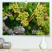 Wein (Premium, hochwertiger DIN A2 Wandkalender 2023, Kunstdruck in Hochglanz)