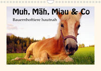 Muh, Mäh, Miau & Co (Wandkalender 2023 DIN A4 quer)