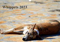Whippet 2023AT-Version (Wandkalender 2023 DIN A3 quer)