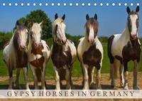 Gypsy Horses (Tischkalender 2023 DIN A5 quer)