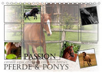 Passion - Pferde und Ponys (Tischkalender 2023 DIN A5 quer)
