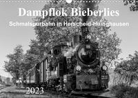 Dampflok Bieberlies in Herscheid-Hüinghausen (Wandkalender 2023 DIN A3 quer)