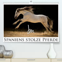 Spaniens stolze PferdeAT-Version  (Premium, hochwertiger DIN A2 Wandkalender 2023, Kunstdruck in Hochglanz)