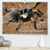 Vogelspinnen (Premium, hochwertiger DIN A2 Wandkalender 2023, Kunstdruck in Hochglanz)