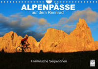 Alpenpässe auf dem Rennrad 