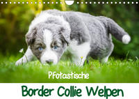 Pfotastische Border Collie Welpen (Wandkalender 2023 DIN A4 quer)
