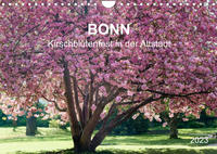 Bonn - Kirschblütenfest in der Altstadt (Wandkalender 2023 DIN A4 quer)