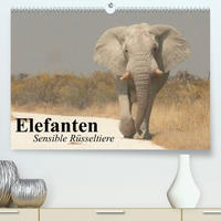 Elefanten. Sensible Rüsseltiere (Premium, hochwertiger DIN A2 Wandkalender 2023, Kunstdruck in Hochglanz)