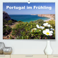 Portugal im Frühling (Premium, hochwertiger DIN A2 Wandkalender 2023, Kunstdruck in Hochglanz)