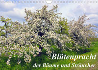 Blütezeit der Bäume und Sträucher (Wandkalender 2023 DIN A4 quer)
