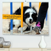 HUNDESPORT - Agility und Dog Frisbee (Premium, hochwertiger DIN A2 Wandkalender 2023, Kunstdruck in Hochglanz)
