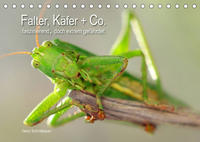 Falter, Käfer und Co.faszinierend, doch extrem gefährdet (Tischkalender 2023 DIN A5 quer)