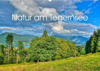 Natur am Tegernsee (Wandkalender 2023 DIN A2 quer)