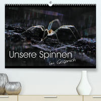 Unsere Spinnen - im Gespräch (Premium, hochwertiger DIN A2 Wandkalender 2023, Kunstdruck in Hochglanz)
