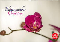 Blütenzauber Orchideen (Wandkalender 2023 DIN A2 quer)