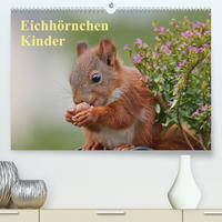 Eichhörnchen Kinder (Premium, hochwertiger DIN A2 Wandkalender 2023, Kunstdruck in Hochglanz)