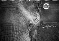Emotionale Momente: Elefanten in black and white (Wandkalender 2023 DIN A2 quer)
