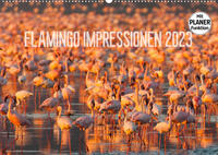 Flamingo Impressionen 2023 (Wandkalender 2023 DIN A2 quer)