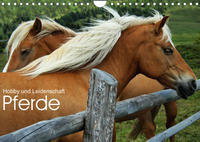 Pferde - Hobby und Leidenschaft (Wandkalender 2023 DIN A4 quer)