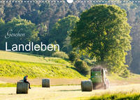 Gesehen - Landleben (Wandkalender 2023 DIN A3 quer)