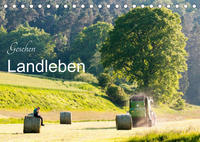 Gesehen - Landleben (Tischkalender 2023 DIN A5 quer)