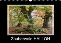 Zauberwald HALLOH (Wandkalender 2023 DIN A3 quer)
