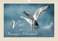 Vögel am Chemnitzer Schlossteich (Wandkalender 2023 DIN A4 quer)