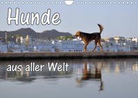 Hunde aus aller Welt (Wandkalender 2023 DIN A4 quer)