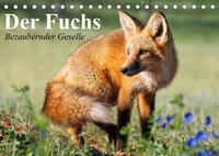 Der Fuchs. Bezaubernder Geselle (Tischkalender 2023 DIN A5 quer)