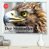 Der Steinadler. Majestätischer Greifvogel (Premium, hochwertiger DIN A2 Wandkalender 2023, Kunstdruck in Hochglanz)