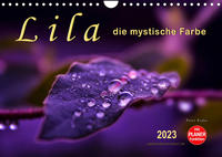 Lila - die mystische Farbe (Wandkalender 2023 DIN A4 quer)