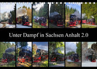 Unter Dampf in Sachsen Anhalt 2.0 (Tischkalender 2023 DIN A5 quer)